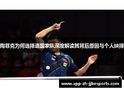 陶菲克为何选择退国家队深度解读其背后原因与个人抉择