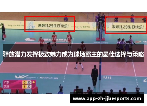 释放潜力发挥极致魅力成为球场霸主的最佳选择与策略