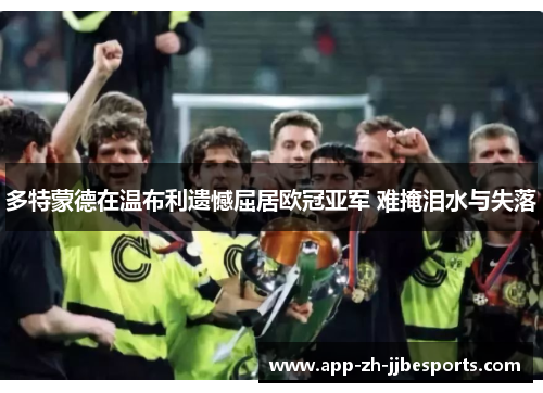 多特蒙德在温布利遗憾屈居欧冠亚军 难掩泪水与失落